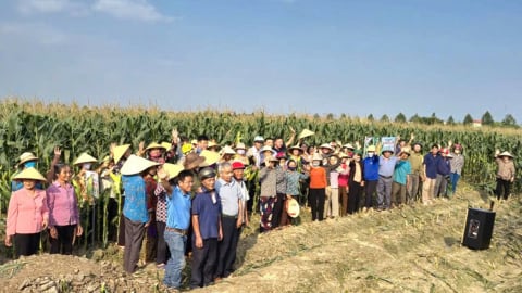 Một hợp tác xã ở Thanh Hóa trồng cây gì, làm việc gì mà có doanh thu 23 tỷ/năm?