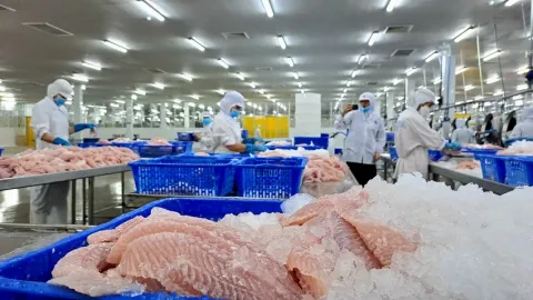 Xuất khẩu thủy sản chậm lại trong tháng 5/2025, doanh nghiệp thận trọng trước tác động từ thuế quan Mỹ
