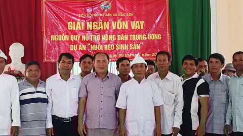 Ninh Thuận: Giải ngân 500 triệu đồng cho hội viên nông dân tham gia dự án “Chăn nuôi heo đen sinh sản”