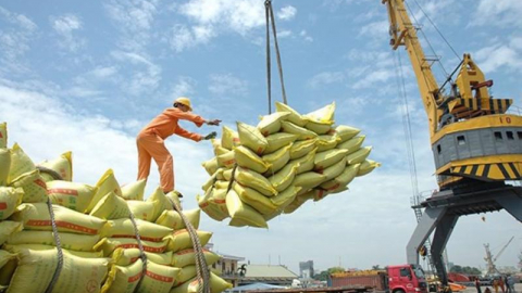 Giá gạo Thái Lan chạm 'đáy' hơn 3 năm, gạo Việt lại đứng đầu thế giới
