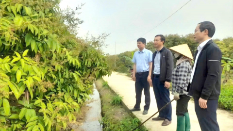 Đặc sản Hải Dương, đại diện 48 vùng trồng, 8 cơ sở đóng gói loại quả ngon được phổ biến điều này