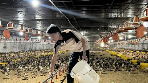 Một ông tỷ phú Bình Dương thu tiền tỷ từ trồng cao su và trại gà, vịt  công nghiệp trong trại lạnh   