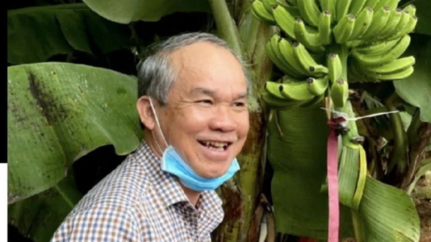 Hoàng Anh Gia Lai của Bầu Đức lãi đậm 360 tỷ đồng trong quý I nhờ chuối