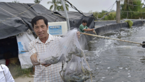 Tỷ phú Kiên Giang là ông Ba Ớt nuôi tôm công nghệ cao, lời 2 tỷ/năm, cả làng phục sát đất
