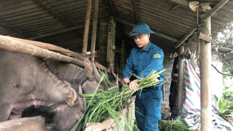 Quỹ Hỗ trợ Nông dân là điểm tựa vững chắc cho nông dân Hòa Bình ăn nên làm ra, có của ăn của để