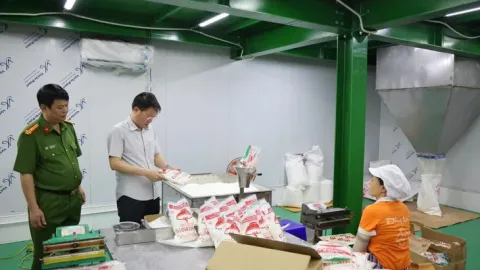 Vụ sản xuất hàng trăm tấn mì chính, hạt nêm, dầu ăn giả: “Rất nguy hại sức khoẻ, gây mất lòng tin người tiêu dùng”