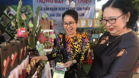 Các sản phẩm OCOP Bình Thuận ra được thị trường lớn nhờ 'các nhà' nào góp sức?