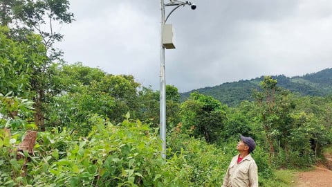 Nơi này ở Gia Lai có một khu rừng cây sách Đỏ cho gỗ quý đắt hơn vàng, cả làng ngày đêm 'soi camera'