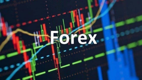 Ngân hàng Nhà nước chưa cấp phép cho bất kỳ sàn Forex nào tại Việt Nam