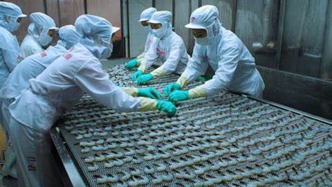 Xuất khẩu thủy sản 4 tháng đạt trên 3 tỷ USD, kim ngạch sang Trung Quốc tăng mạnh