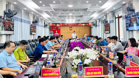 Than Uyên: Tập trung chăm sóc và bảo vệ diện tích chè, rừng đã trồng