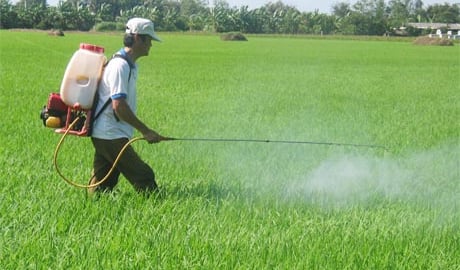  Nông dân Hải Phòng xuống đồng phòng diệt trừ sâu cuốn lá nhỏ, bệnh đạo ôn trên lúa xuân