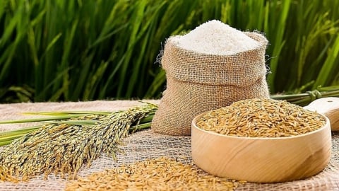 Một ngân hàng cấp tín dụng lên tới 100% giá trị hóa đơn, 'gỡ nút thắt' vốn cho doanh nghiệp lúa gạo