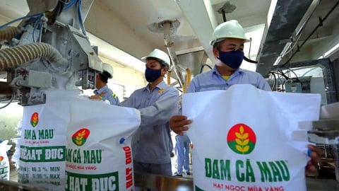 Đạm Cà Mau trình kế hoạch lãi 774 tỷ, muốn đầu tư nhà máy chế biến nông sản và sản xuất phân bón hữu cơ vi sinh