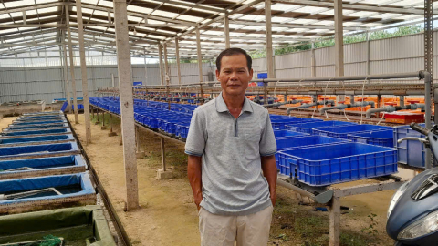 Một tỷ phú Tây Ninh phất lên nhờ nuôi con đặc sản dày đặc kiểu tuần hoàn, cả làng phục lăn