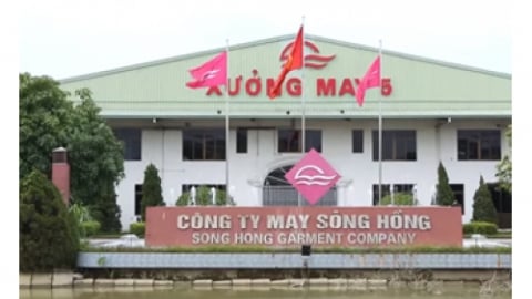 May Sông Hồng chốt danh sách thưởng cổ phiếu tỷ lệ 50%
