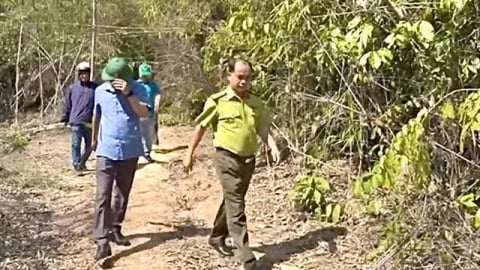 Diễn biến mới vụ phá rừng ở Kon Tum
