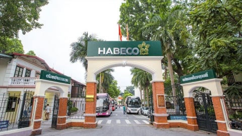 Habeco chốt ngày chi hơn 266 tỷ đồng trả cổ tức bằng tiền 11,5%
