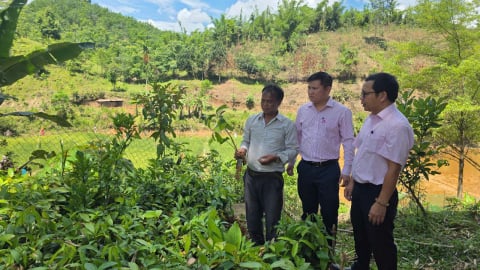 Tín dụng chính sách “đánh thức” tiềm năng phát triển kinh tế cho người đồng bào biên giới Quảng Nam