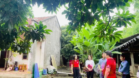 Thái Nguyên hỗ trợ 2,6 tỷ đồng cho 275 hộ dân và 15 HTX khắc phục hậu quả bão Yagi