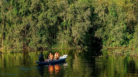 Vùng Đồng Tháp Mười phía Tiền Giang có một khu rừng ngập nước, chim hoang dã bay la liệt