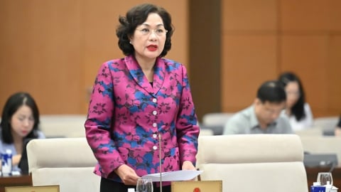 Thống đốc Nguyễn Thị Hồng: Khoản vay đặc biệt lãi suất 0% không dẫn tới rủi ro phải bù lãi suất