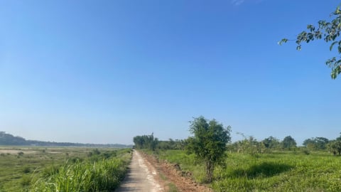 Vay vốn ngân hàng: Người dân có được thế chấp đất nông nghiệp không?