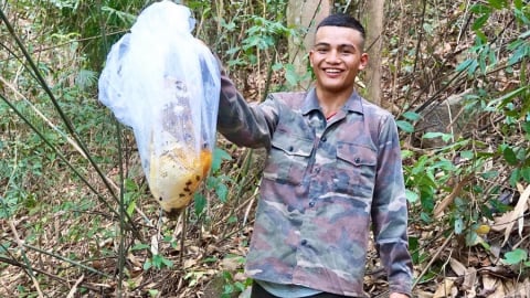 Trong rừng Gia Lai có loài động vật hoang dã bay thẳng đứng, cứ thấy thế là tìm đến tổ