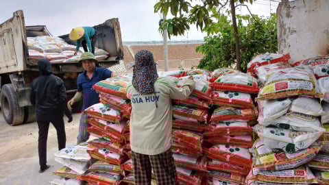 Hội Nông dân Hà Tĩnh kết nối với doanh nghiệp cung ứng 500 tấn phân bón trả chậm cho hội viên, nông dân