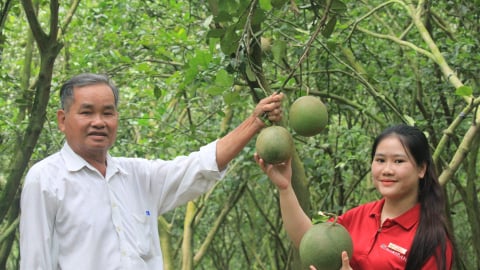 Khánh Hòa: Agribank dẫn vốn cho nông dân huyện Khánh Vĩnh làm giàu
