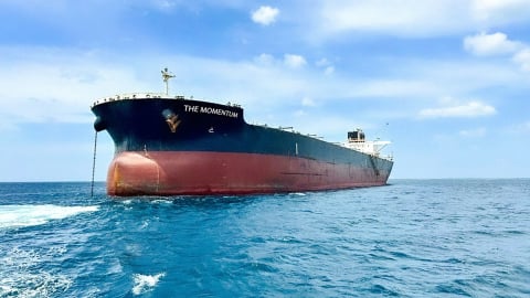 Tỷ phú Trần Đình Long 'sắm' tàu 110.000 DWT để nhập khẩu nguyên liệu trong và ngoài nước