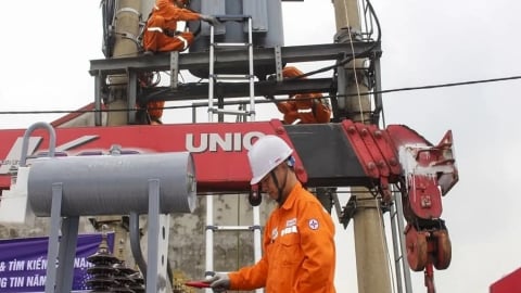 Sáp nhập, chuyển đổi mô hình hoạt động  Công ty Điện lực Hải Phòng 
