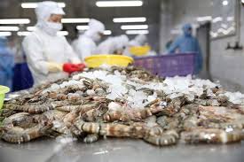 Doanh số 6 tháng đầu năm của Sao Ta đạt 135,6 triệu USD, tăng 43%