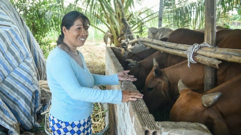 Khánh Hòa: Vốn chính sách giúp người dân thoát nghèo bền vững