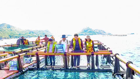 Ra biển Khánh Hòa thấy dân nuôi cá to bự trong cái lồng khổng lồ, 10 người xem cả 10 người trầm trồ