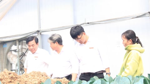 Khánh Hòa: Gần 2.000 tỷ đồng dư nợ, Agribank Ninh Sơn dẫn dắt làn sóng nông nghiệp công nghệ cao