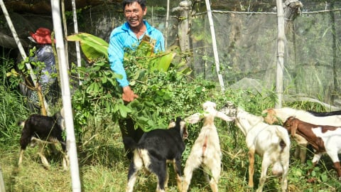 Agribank chi nhánh Ninh Thuận: Trao 'cần câu' mở lối cho nông dân làm giàu