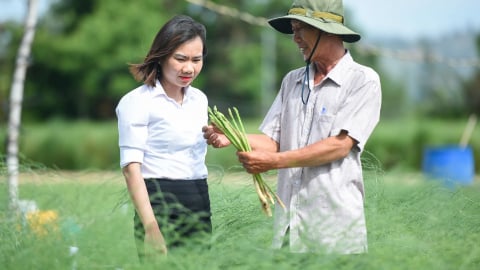 Khánh Hòa: Có vốn Agribank, nông dân ở Ninh Phước trồng táo và măng tây cho hiệu quả cao