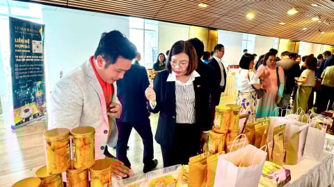 7 tháng đầu năm Khánh Hòa đón hơn 10,8 triệu lượt khách
