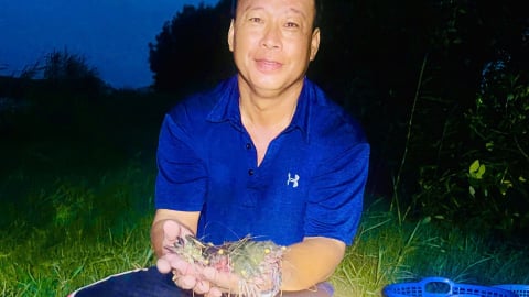 Nuôi tôm trên đất lúa, thầy giáo tiểu học An Giang được đề cử là nông dân sản xuất kinh doanh giỏi 