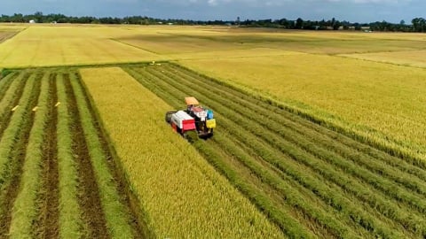 Ở tỉnh Cà Mau mới, sau sáp nhập Bạc Liêu có 1 xã NTM kiểu mẫu, 100% cánh đồng lúa do máy nông nghiệp làm thay nông dân