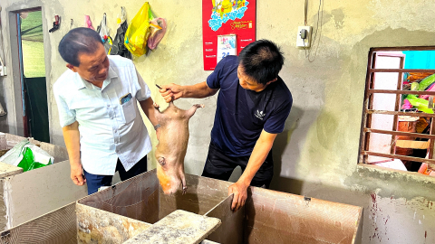 Con đặc sản này cầm đuôi xách lên trông như chuột cống, nuôi thành công ở Hà Tĩnh, dân giàu hẳn lên