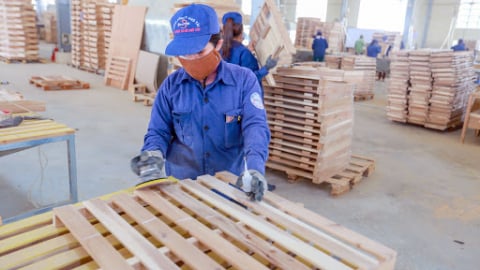 Phú Tài lãi đậm trong quý II, dự phòng 84% khoản nợ khi Noble House phá sản