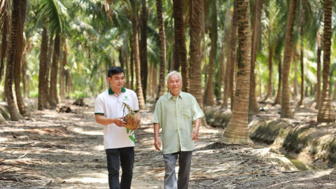Sáp nhập thành công tỉnh Bến Tre, Trà Vinh, tỉnh Vĩnh Long có ngành hàng này đứng số 1 Việt Nam