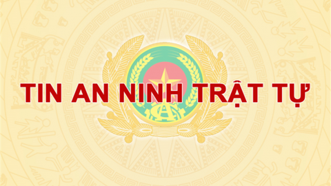 Bắt doanh nhân người Mỹ vì trốn hơn 3,2 tỷ đồng tiền thuế 