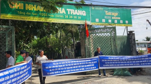 Công ty taxi Mai Linh chây ì tiền lương, bảo hiểm xã hội: Khánh Hòa chỉ đạo xử lý