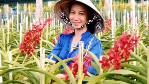 Tượng đài nông dân xóa nghèo trên đất thép Củ Chi (Bài cuối): Tiên phong xây dựng lớp nông dân mới