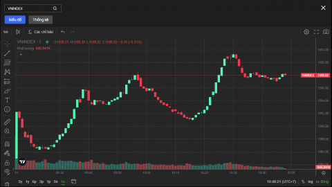 Chứng khoán thăng hoa, VN-Index vượt 1.600 điểm