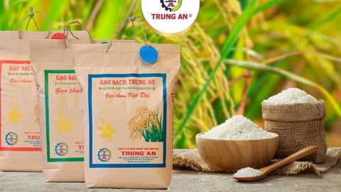 Trung An muốn vay 190 tỷ mua gạo cung ứng cho dự trữ quốc gia