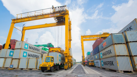 Viconship trình cổ đông kế hoạch tăng lợi nhuận năm 2025 lên 1.250 tỷ đồng